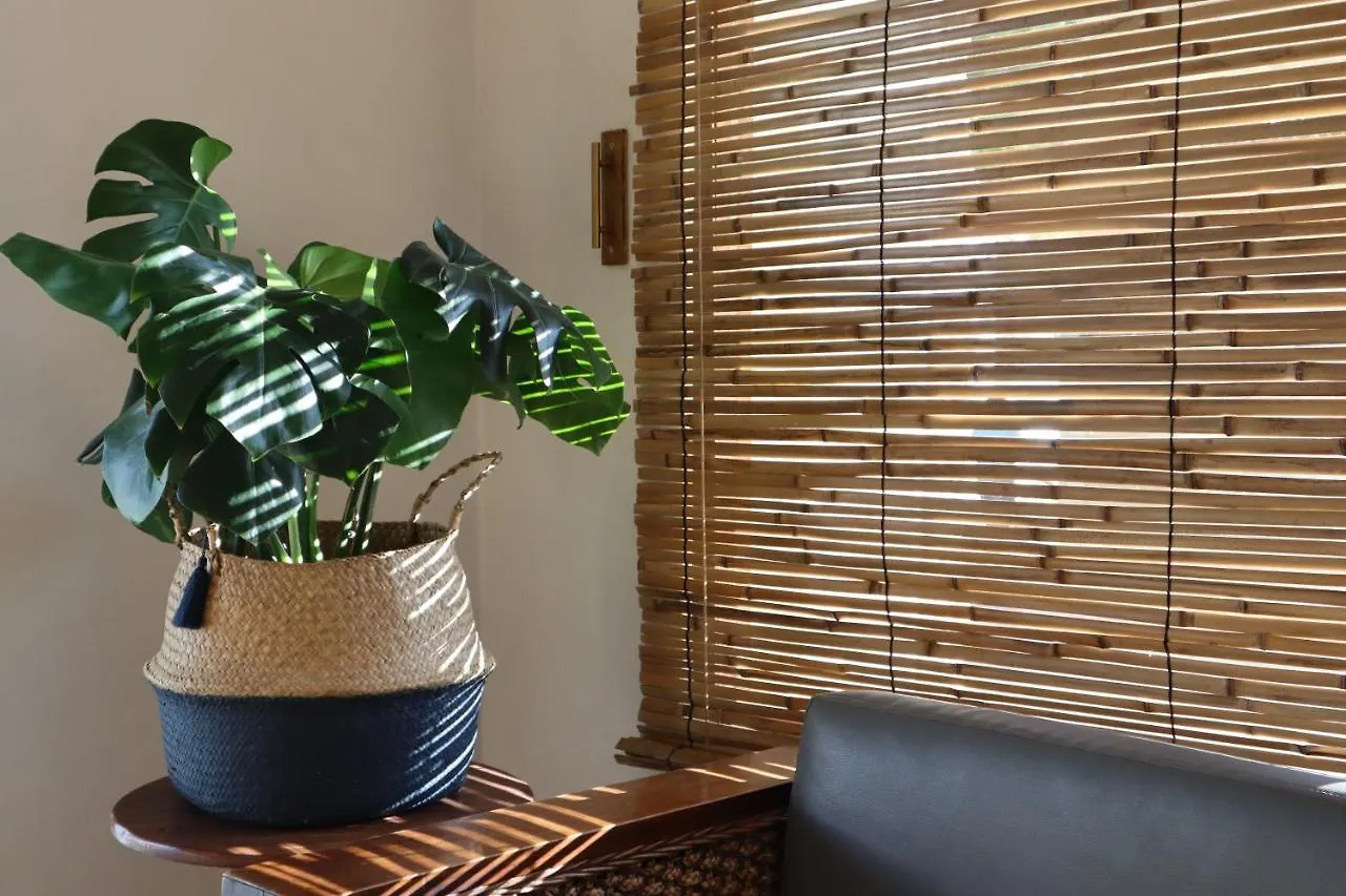 3B Wellness Hotel & Hostel Adults Only Playa del Carmen Messico