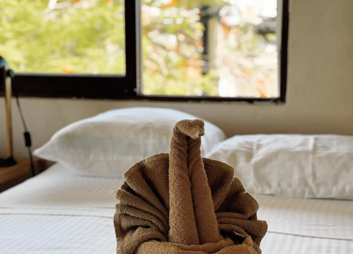 3B Wellness Hotel & Hostel Adults Only Playa del Carmen